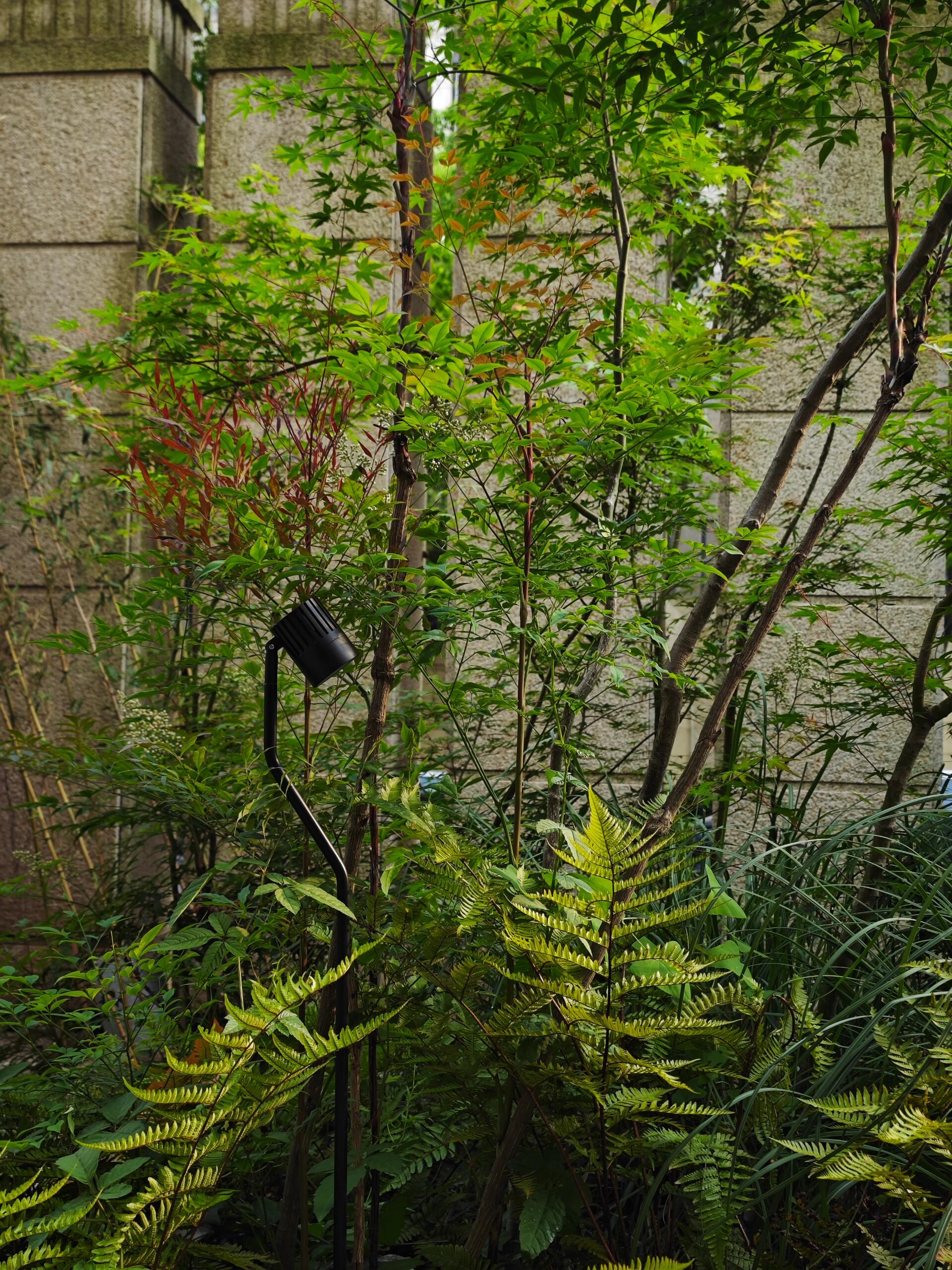 DỰ ÁN 103 - Image 2