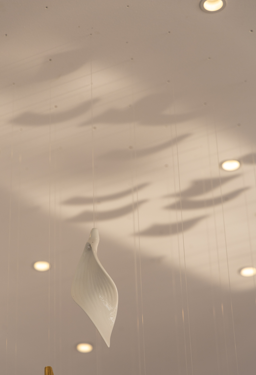 IDA LIGHTING SHOWROOM - Image 53