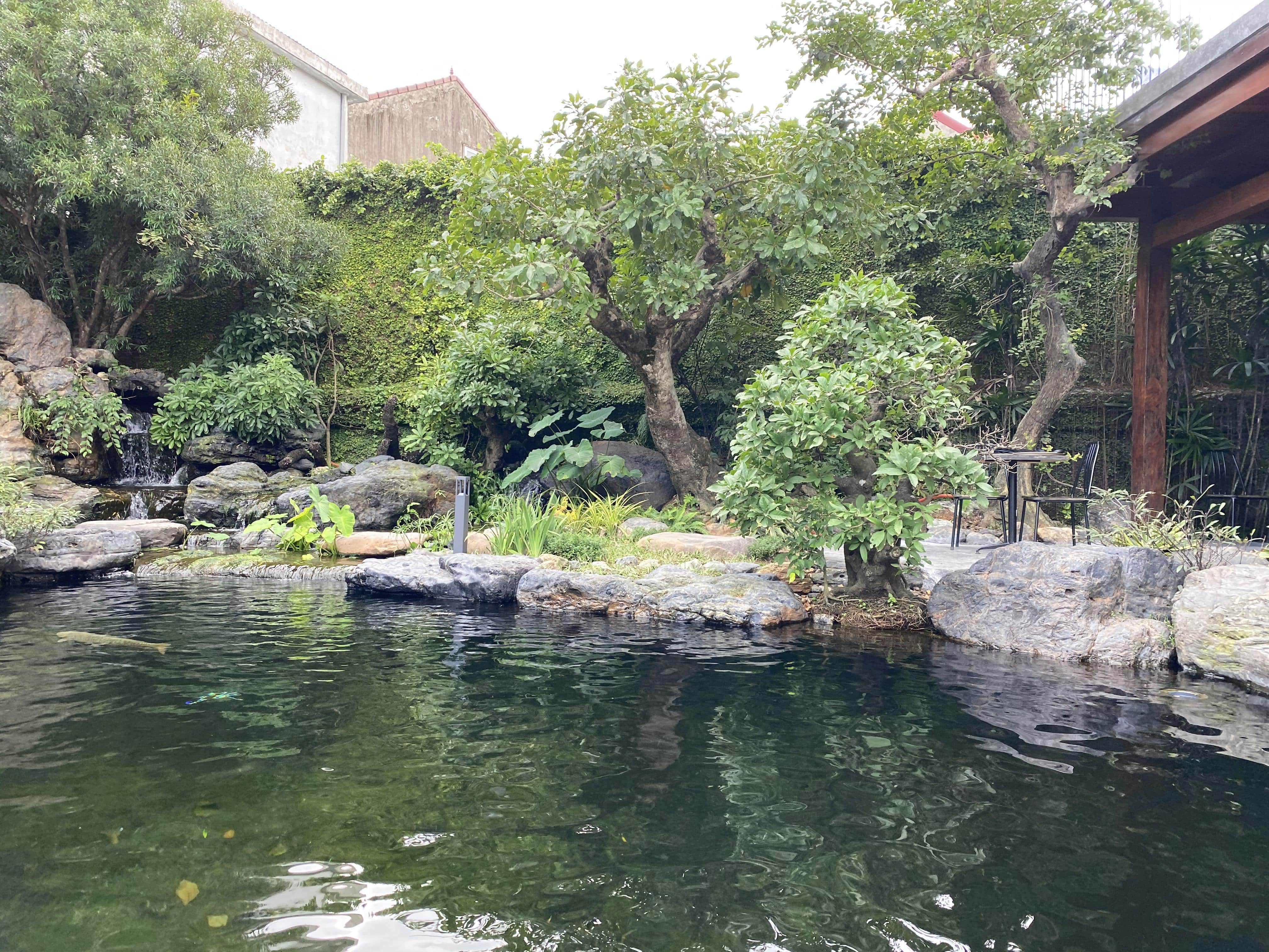 KOI CAFE - Image 4