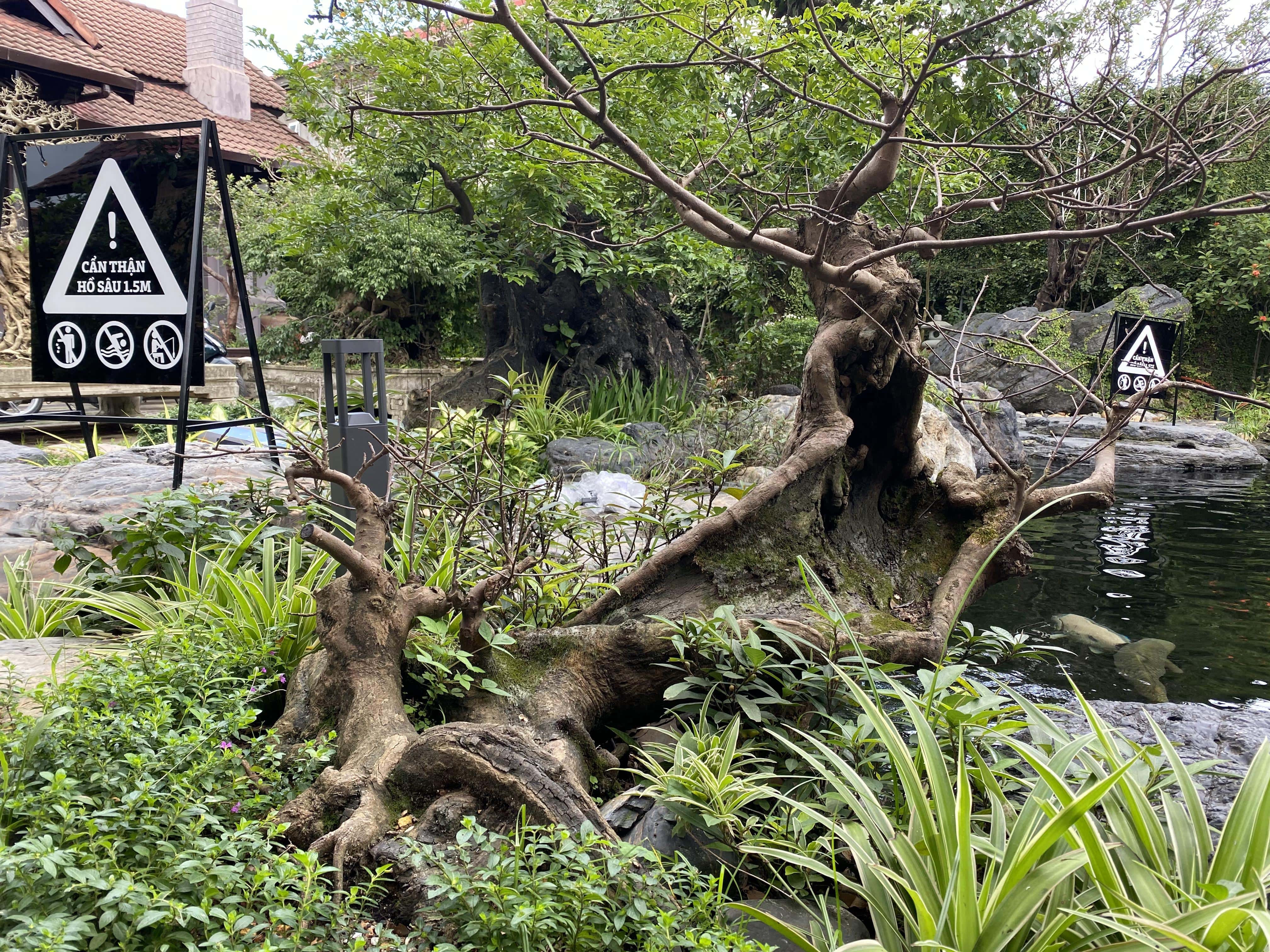 KOI CAFE - Image 5