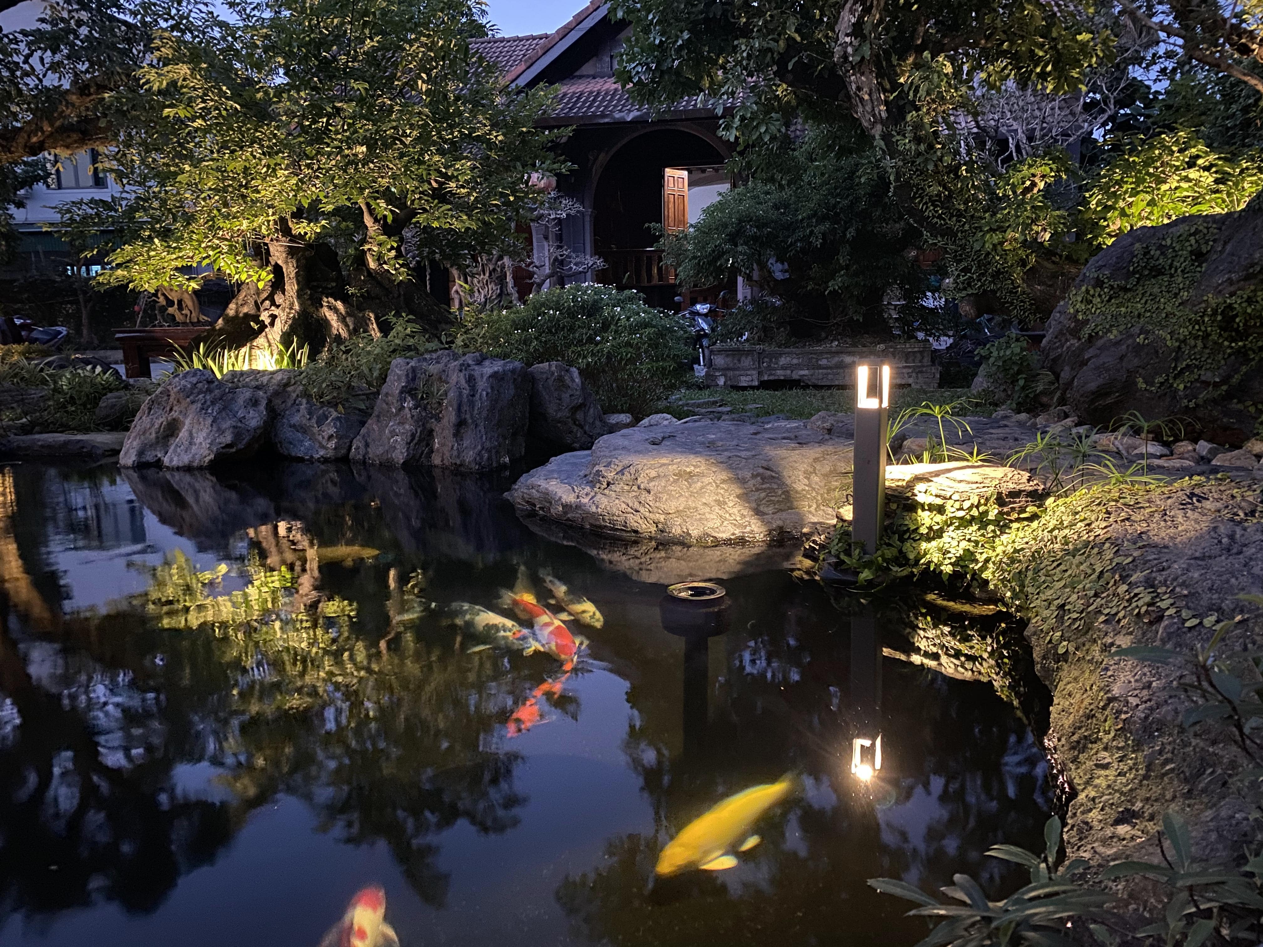 KOI CAFE - Image 12