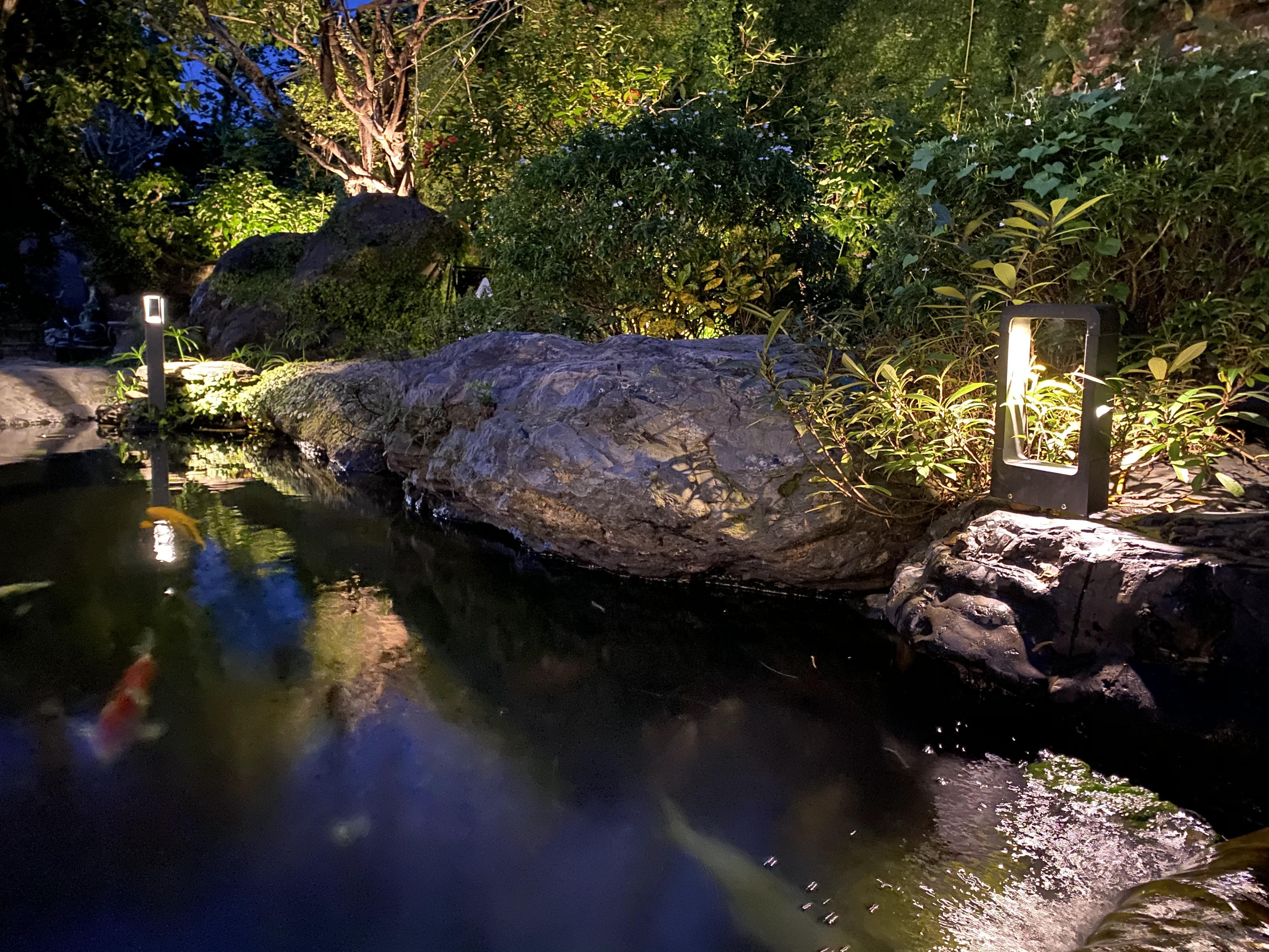 KOI CAFE - Image 13