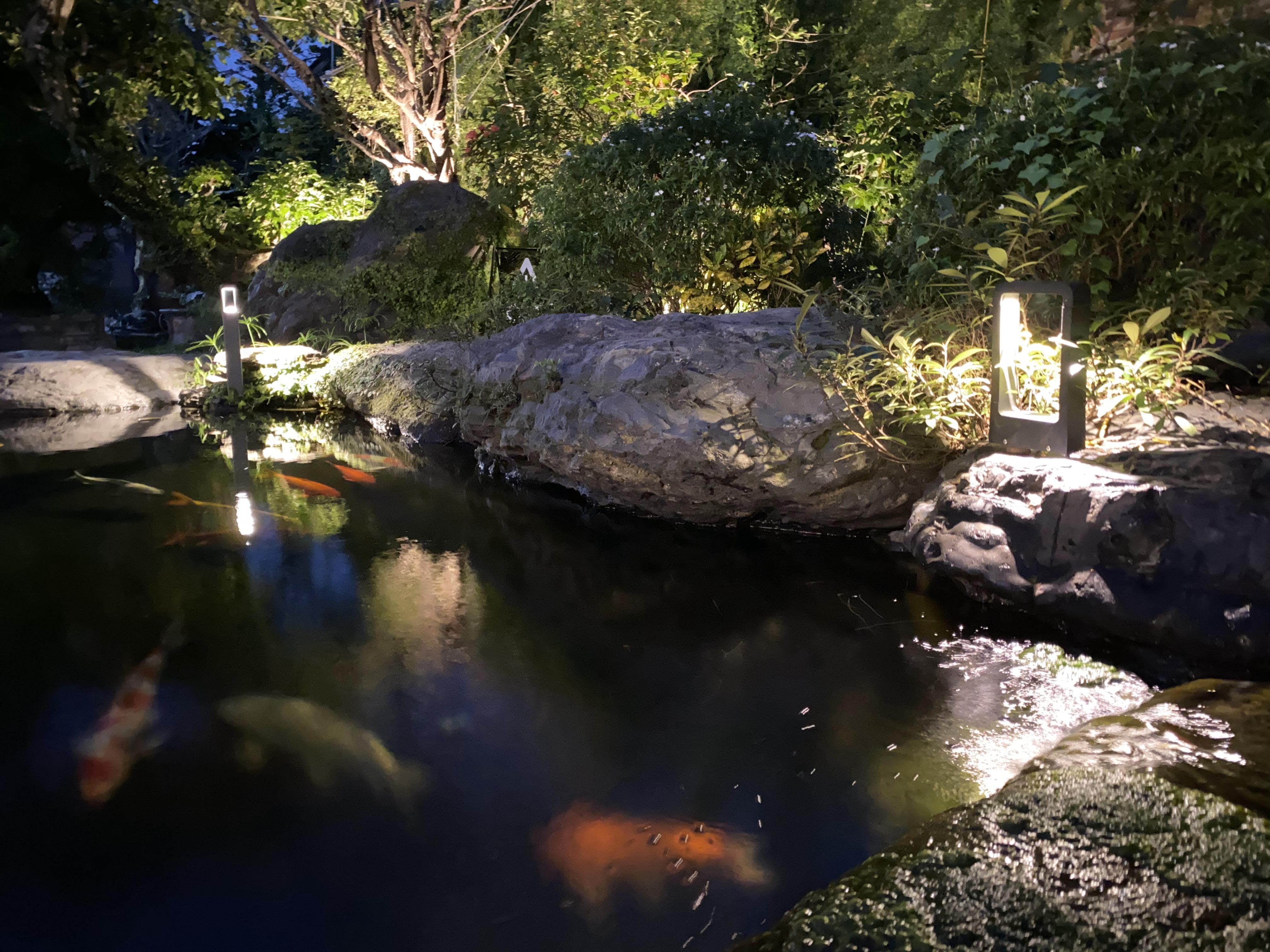 KOI CAFE - Image 14