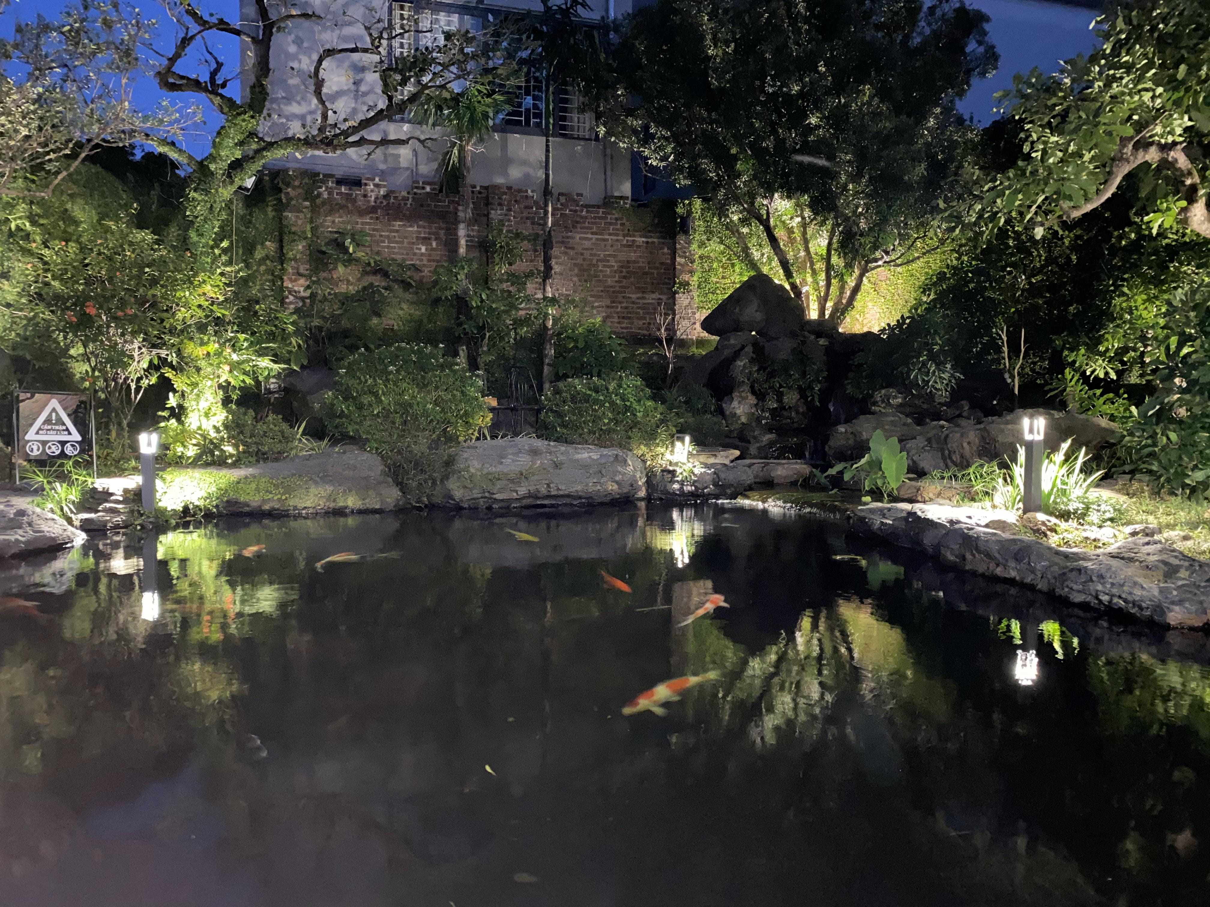 KOI CAFE - Image 15
