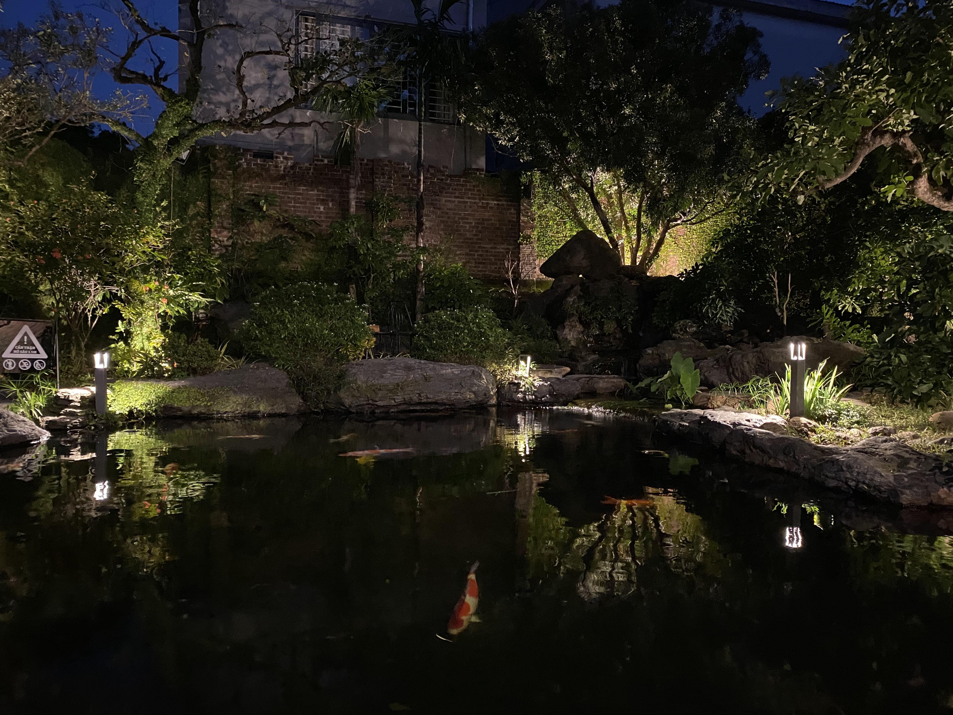 KOI CAFE - Image 16