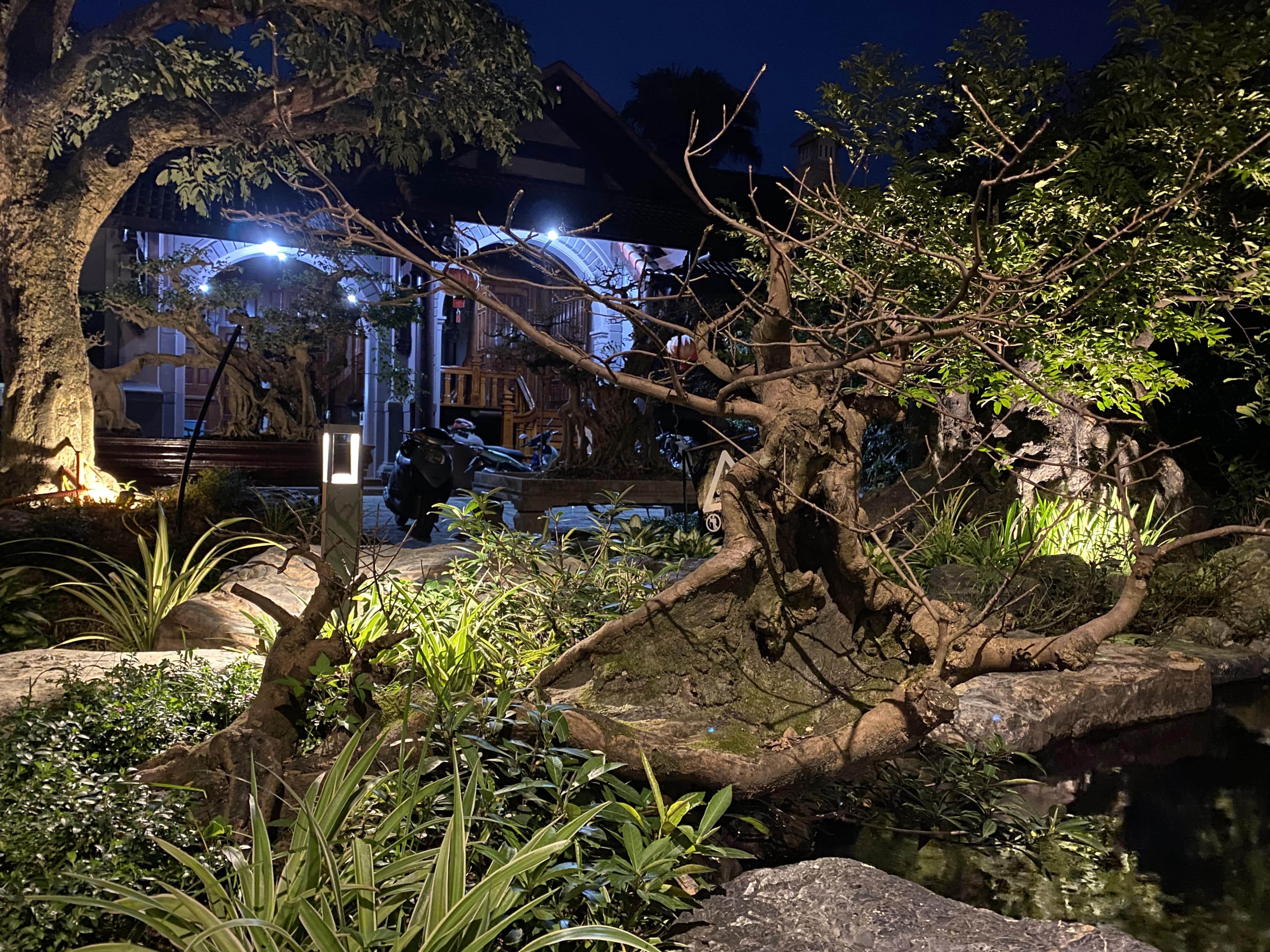 KOI CAFE - Image 18