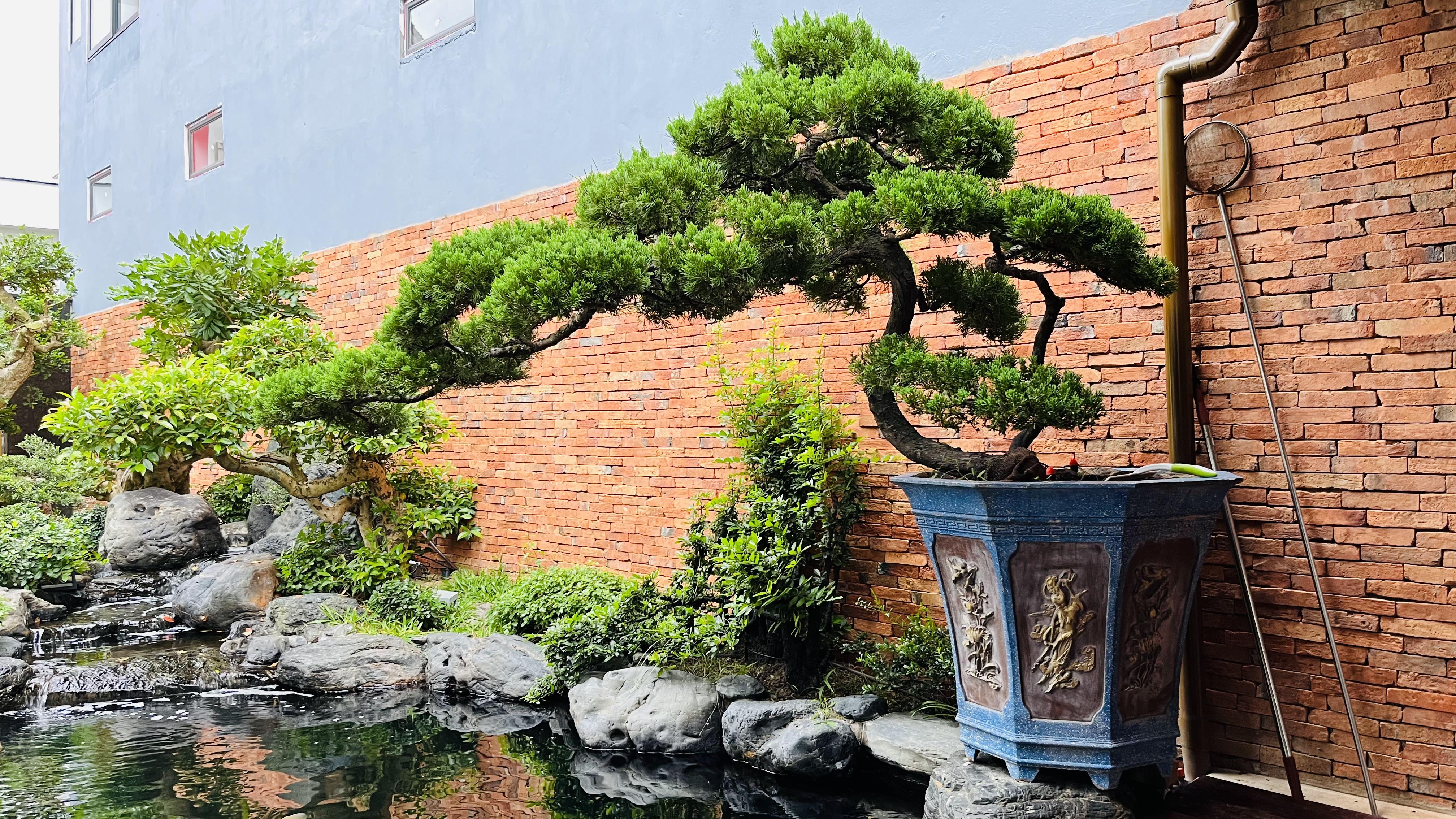 NHÀ RIÊNG - Image 10