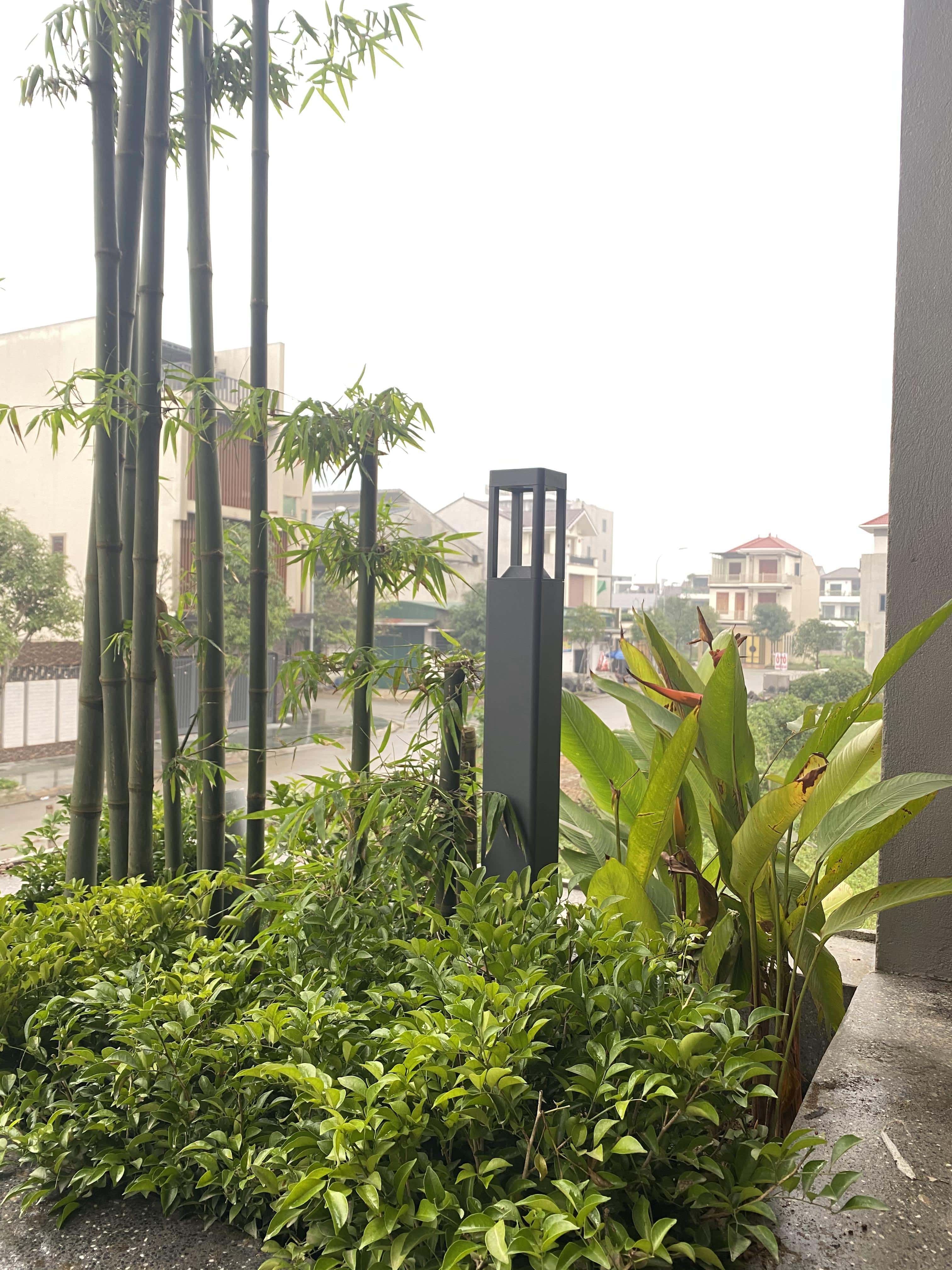 BAMBOO CAFE - Image 3