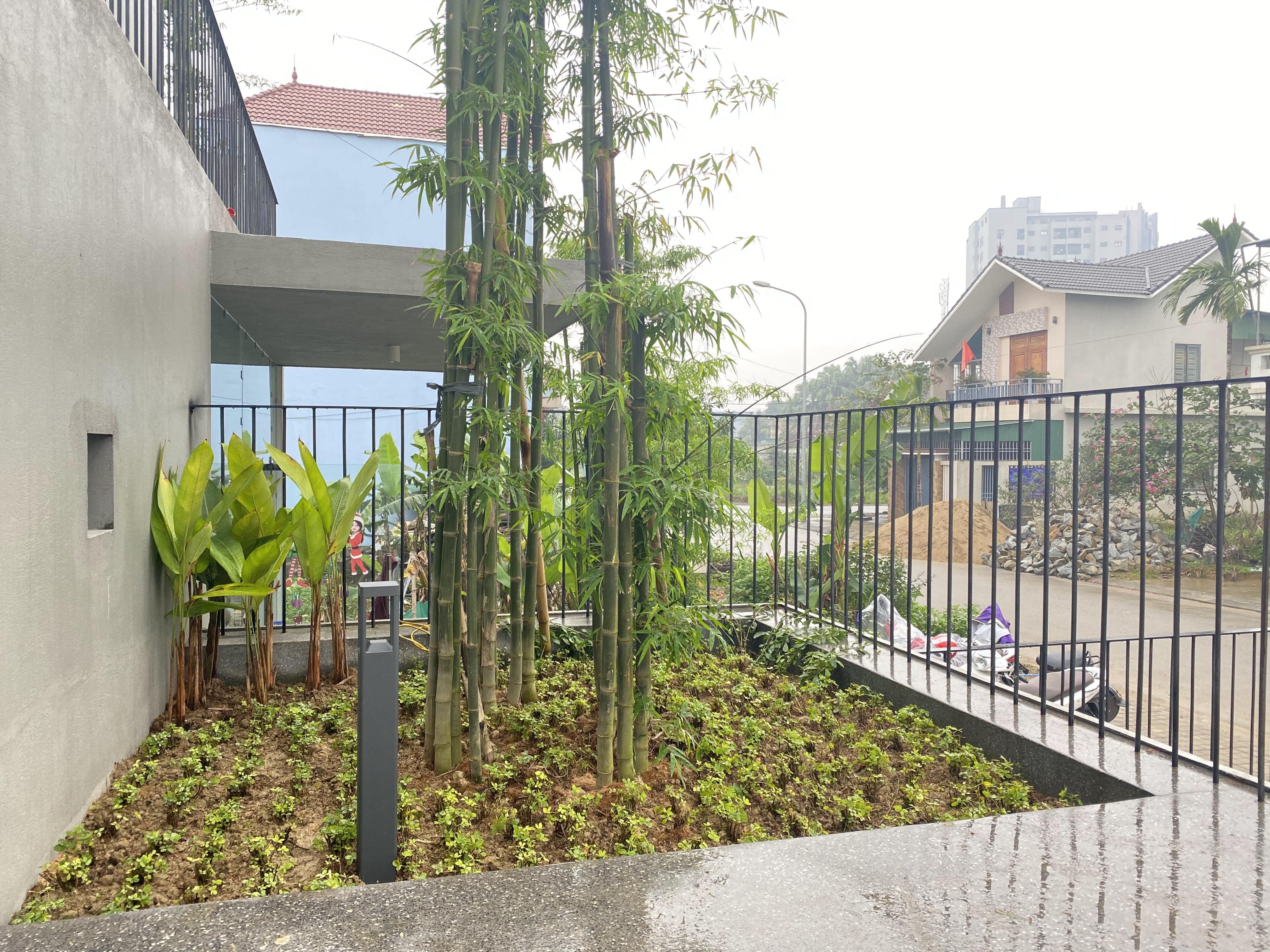 BAMBOO CAFE - Image 4