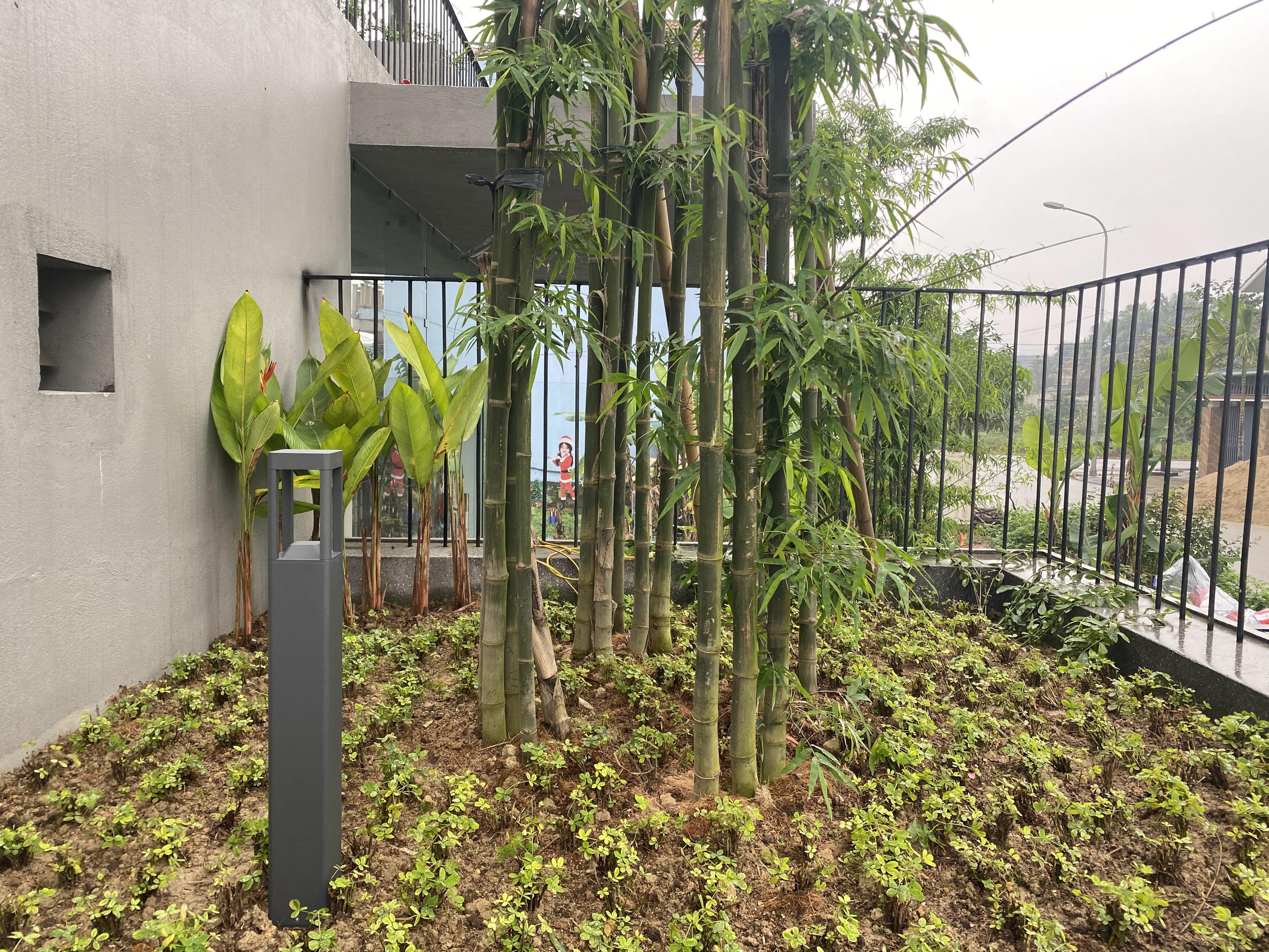 BAMBOO CAFE - Image 5
