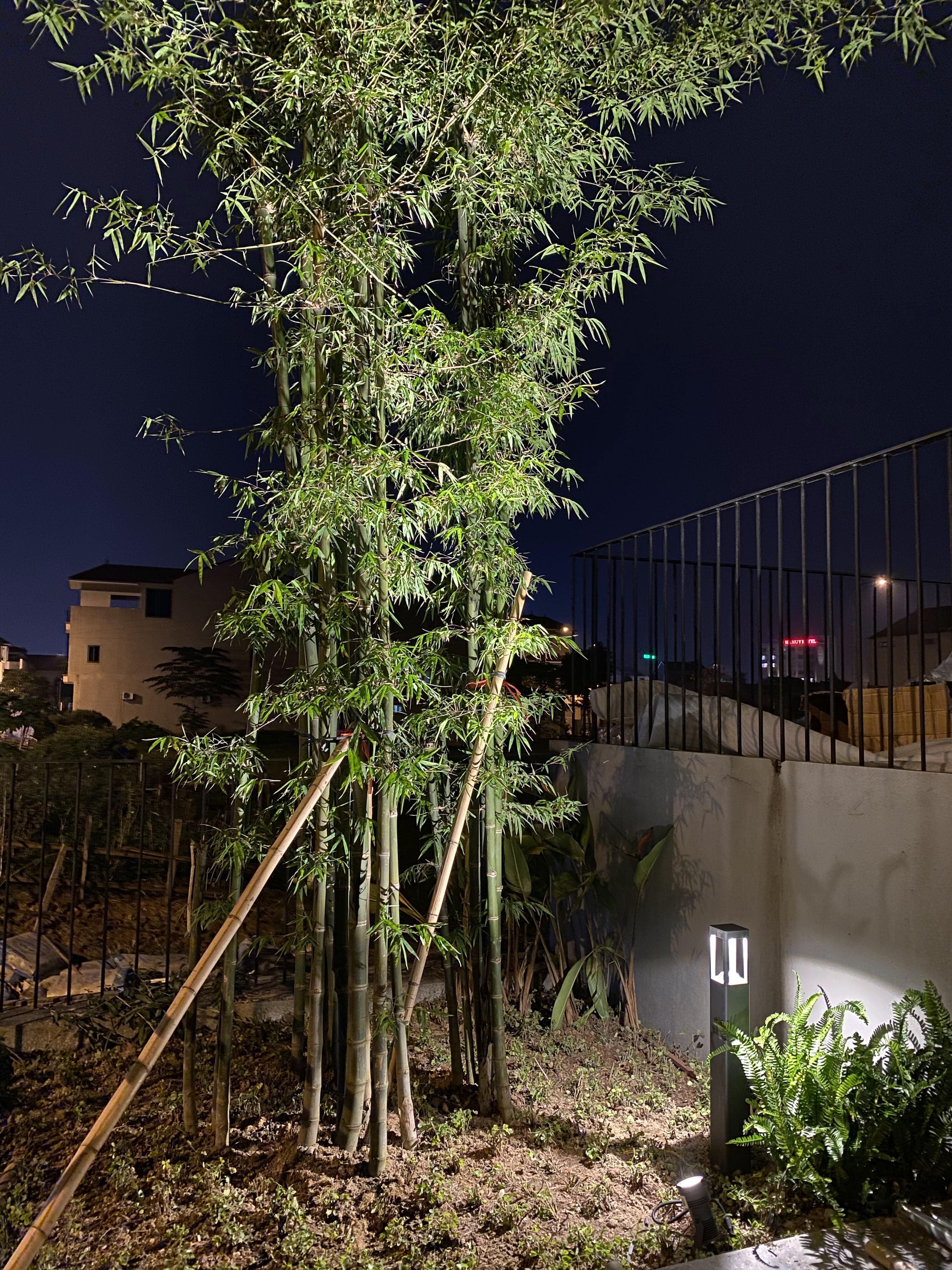 BAMBOO CAFE - Image 10