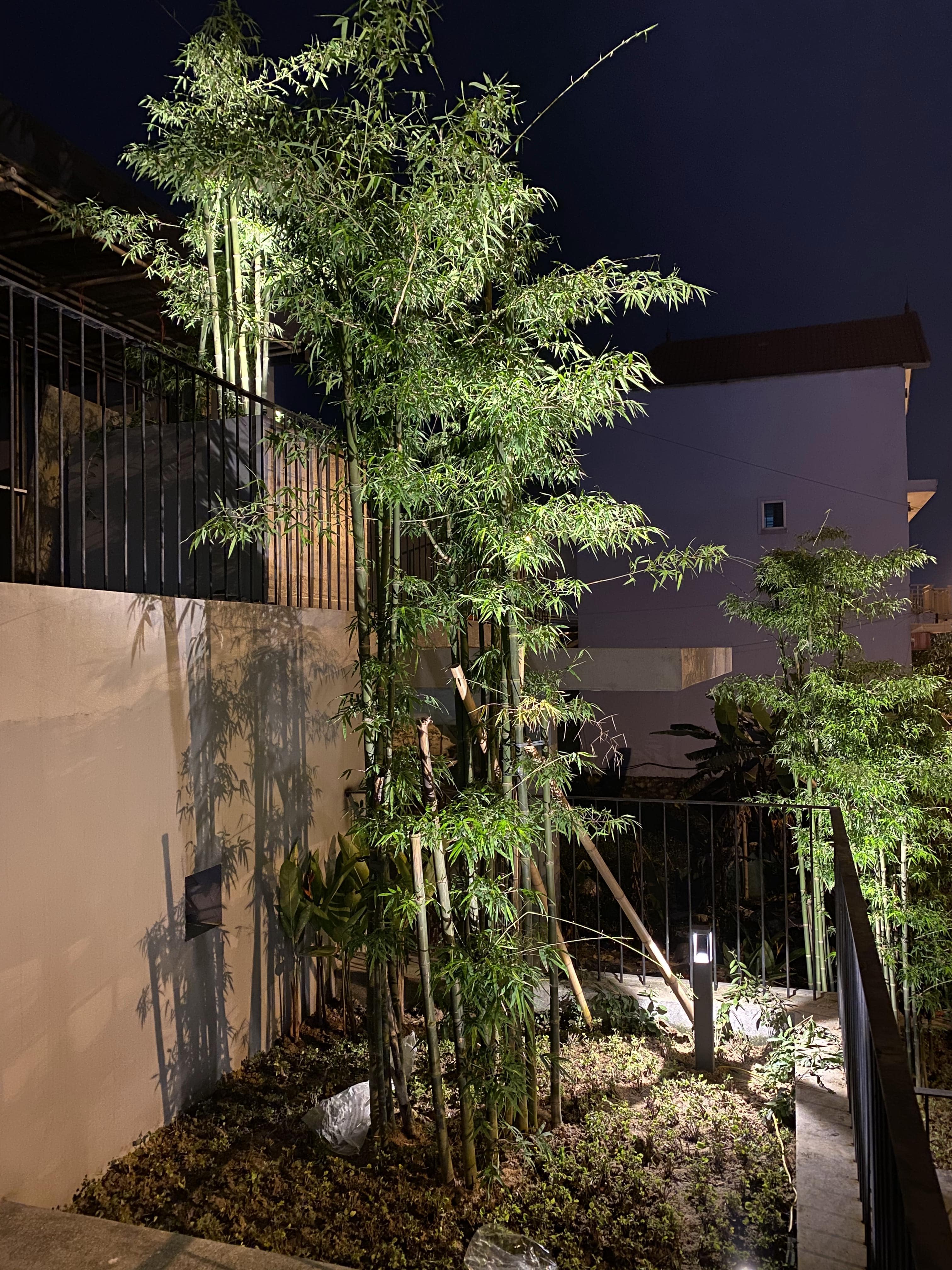 BAMBOO CAFE - Image 11