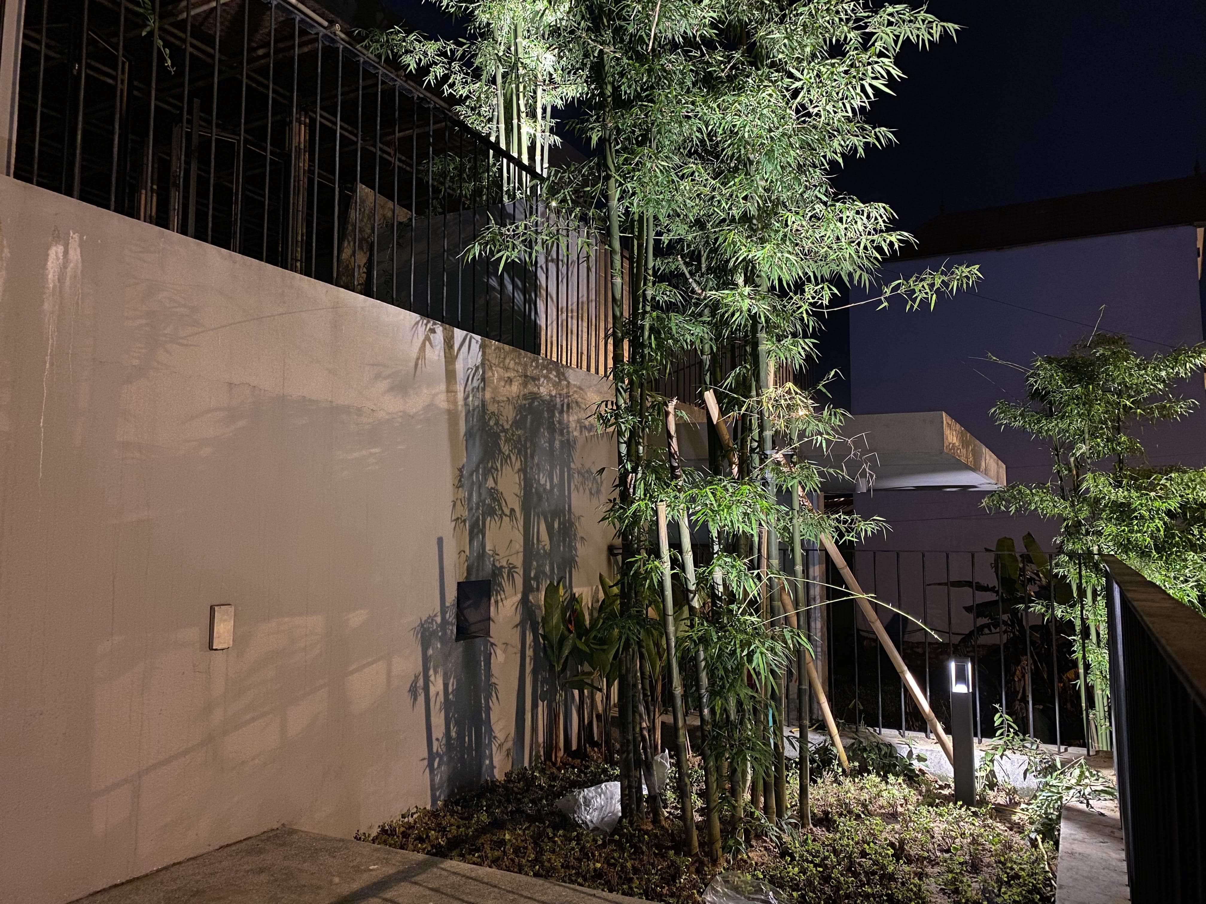 BAMBOO CAFE - Image 12
