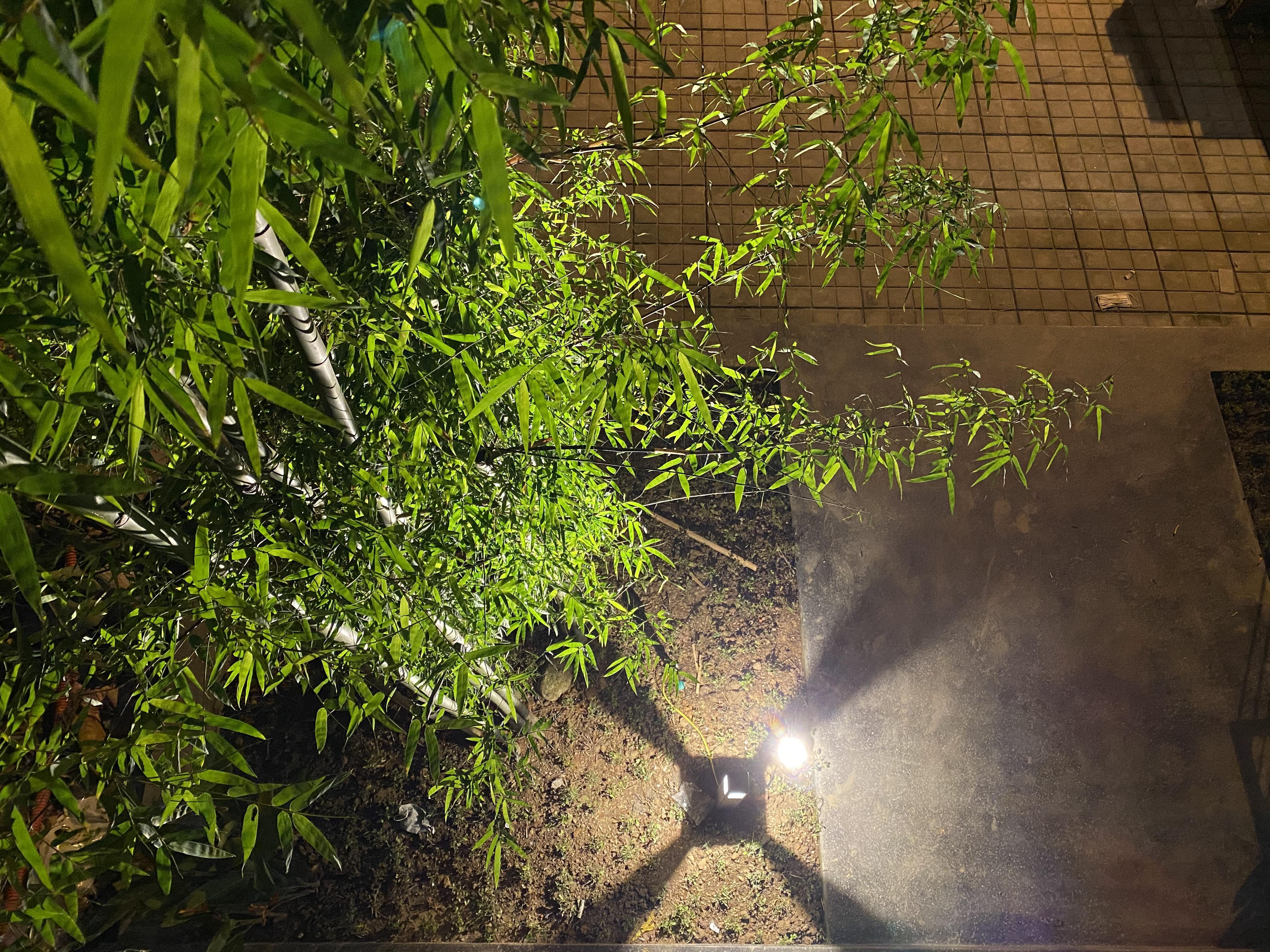 BAMBOO CAFE - Image 15