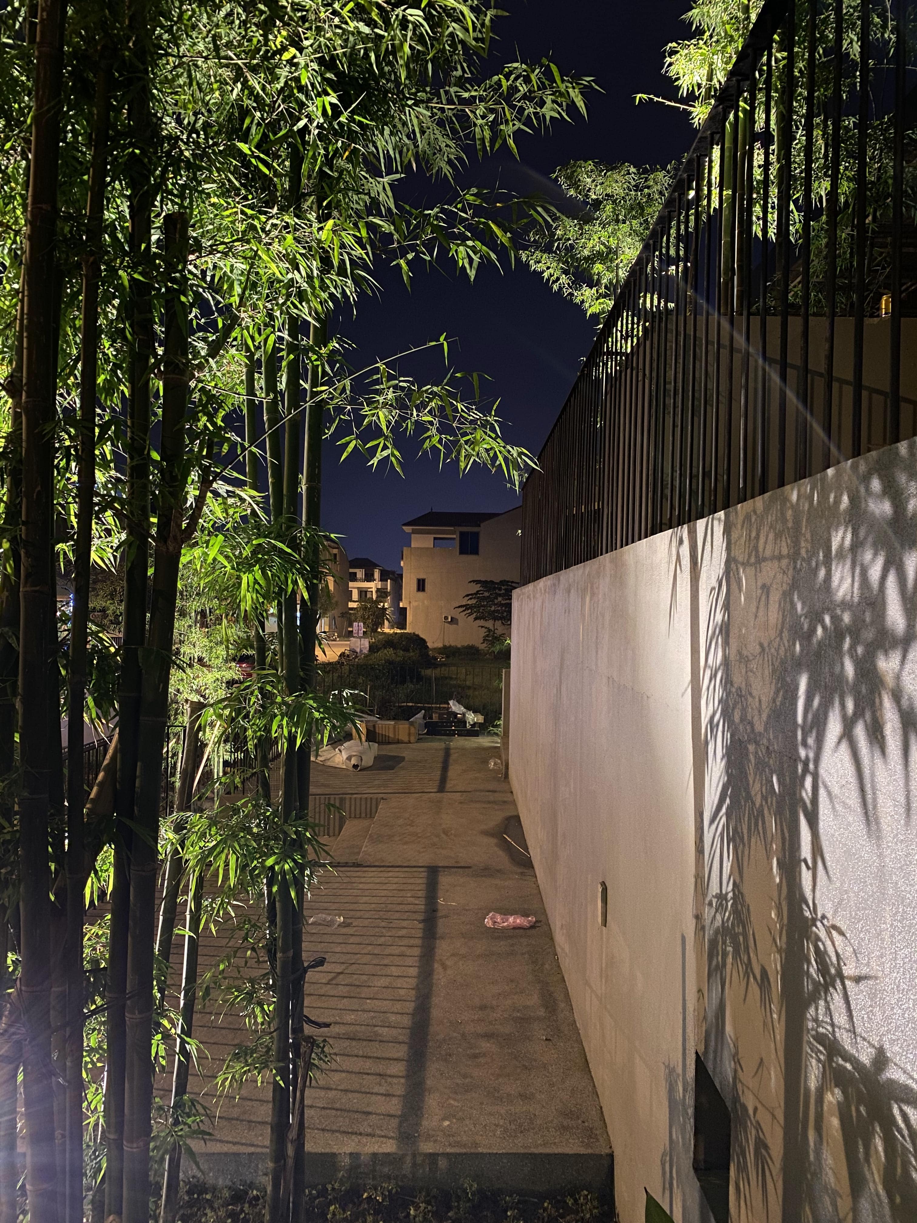 BAMBOO CAFE - Image 16