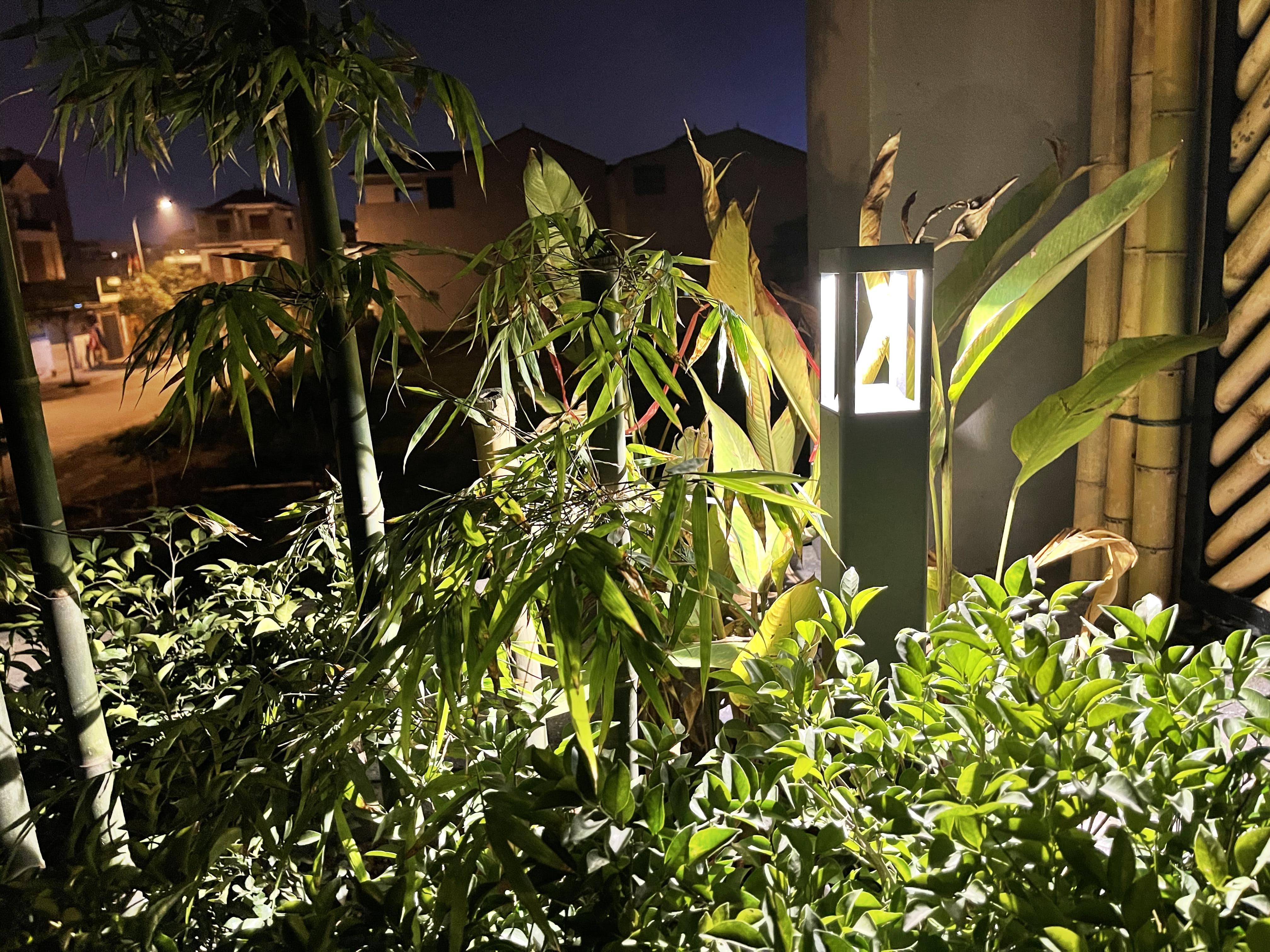 BAMBOO CAFE - Image 20