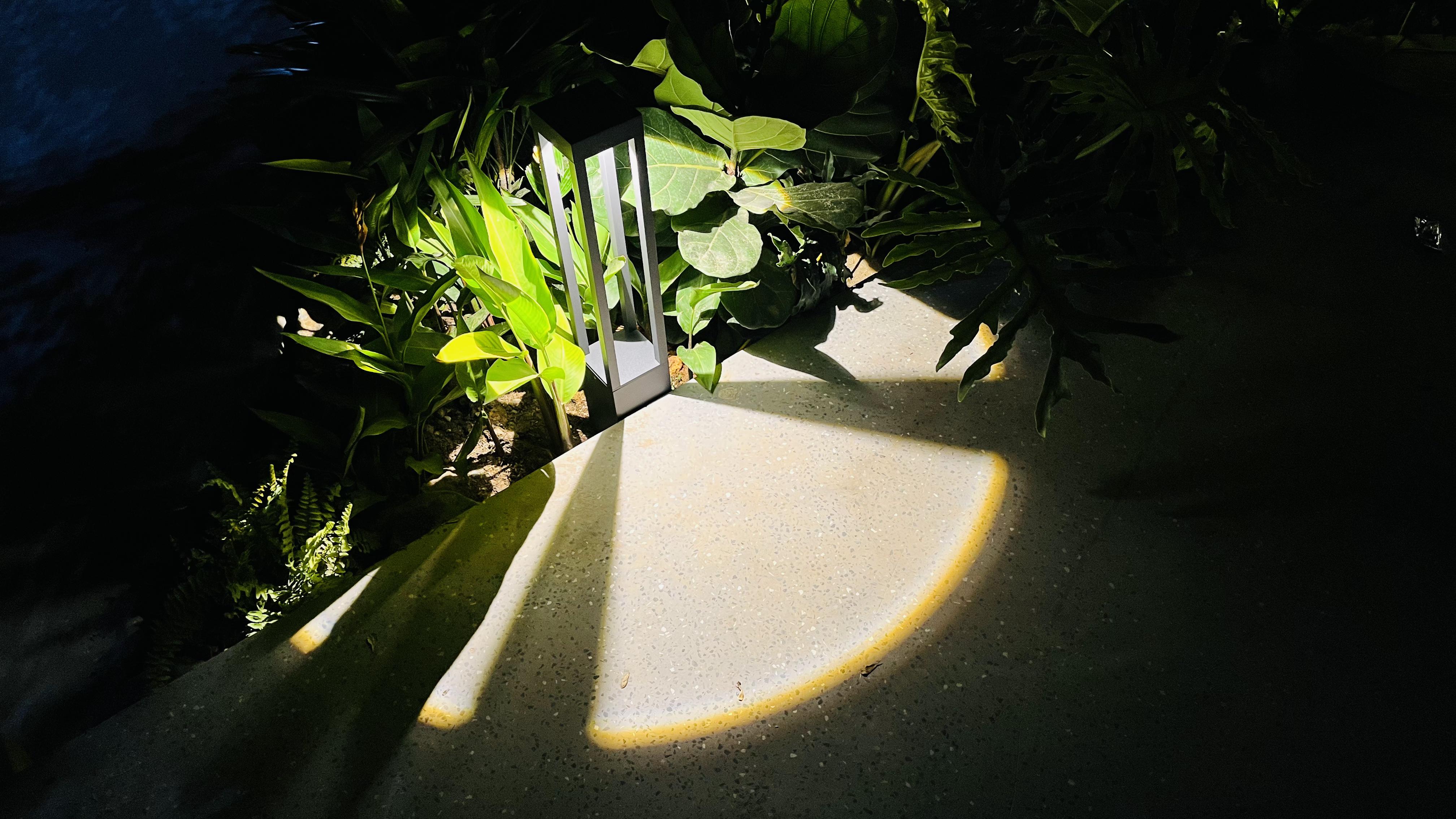 MOCHI CAFE - Image 3